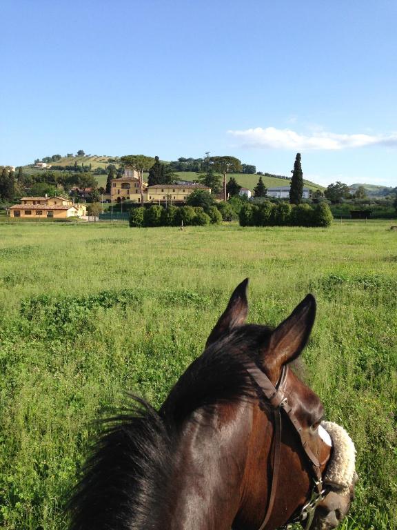 Agriturismo Villa Irelli Castellalto Екстериор снимка
